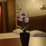 Elit 3* Pernik