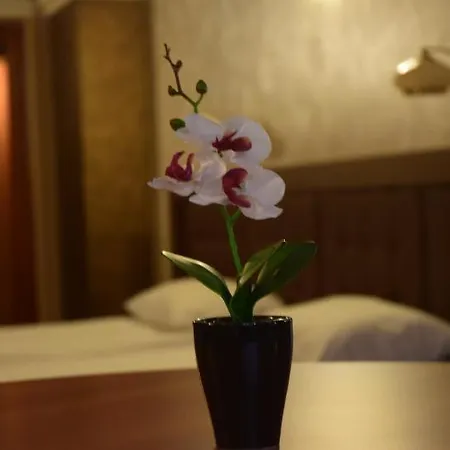 елит 3* Перник